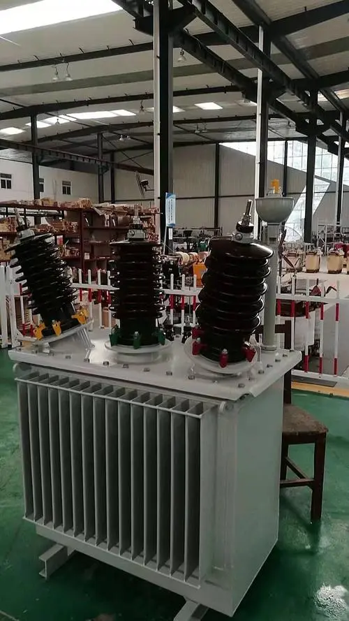 oil-immersed transformer (2)